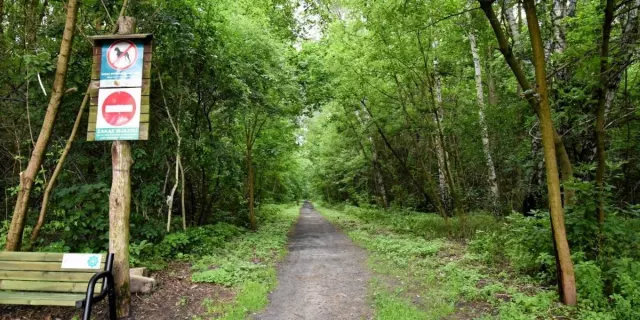Co to jest Rezerwat „Mosty Kalińskie” („Kalińskie Mosty”)