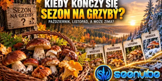 Kiedy kończy się sezon na grzyby? Październik i listopad 2026