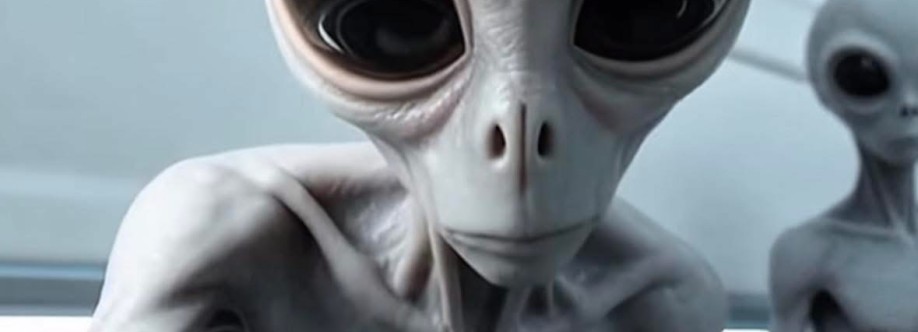 POLAK MEFKA KRYSZTAŁ 24H WARSZAWA Cover Image