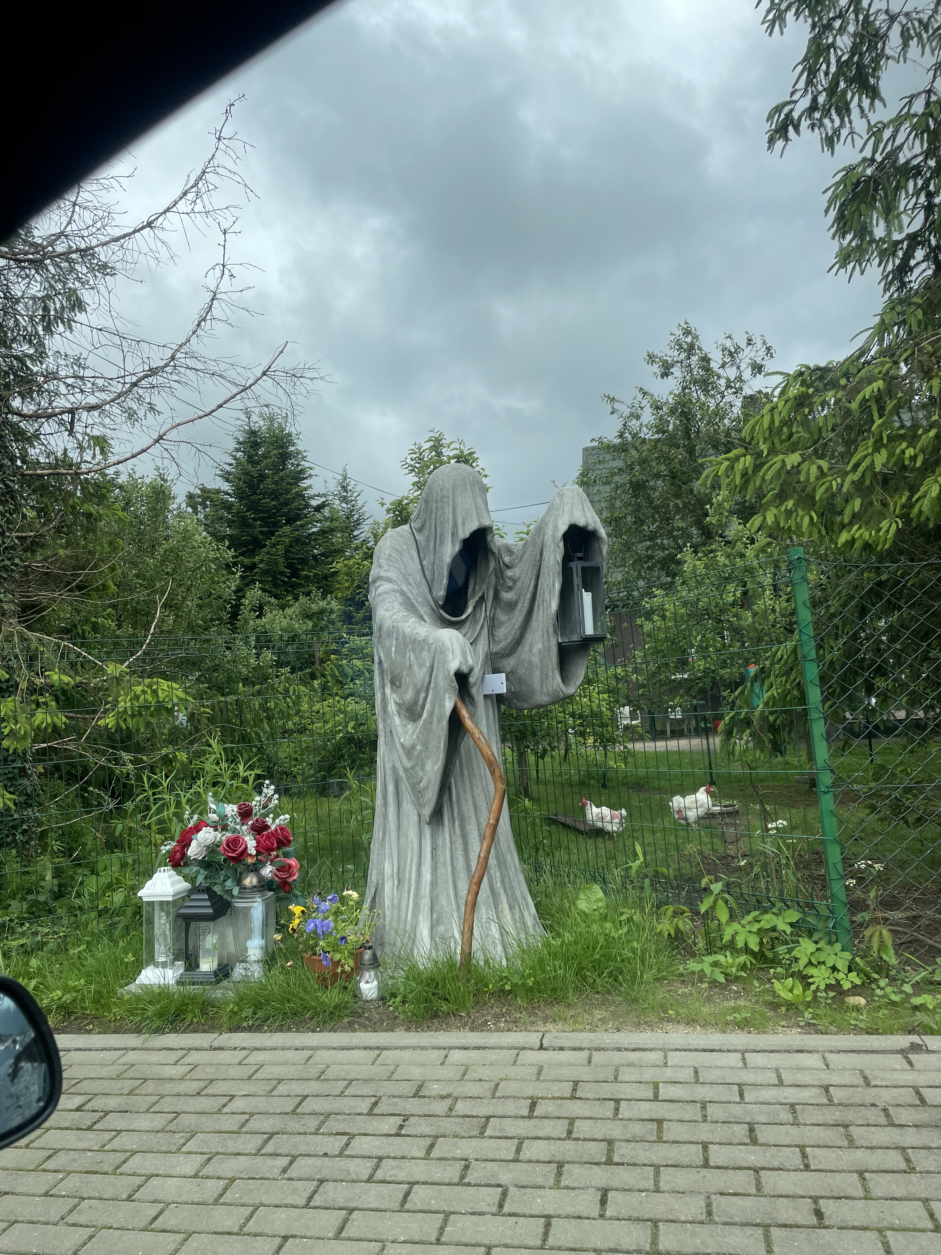 piter9530 Profile Picture