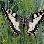 jacek gaw Profile Picture