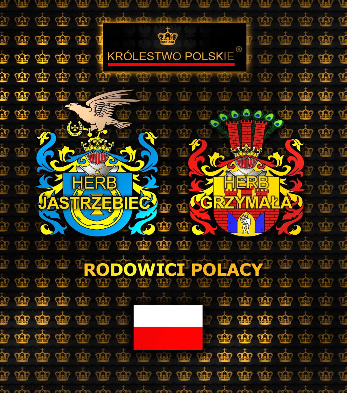 Królestwo Polskie - Polska i jej prawo absolutne