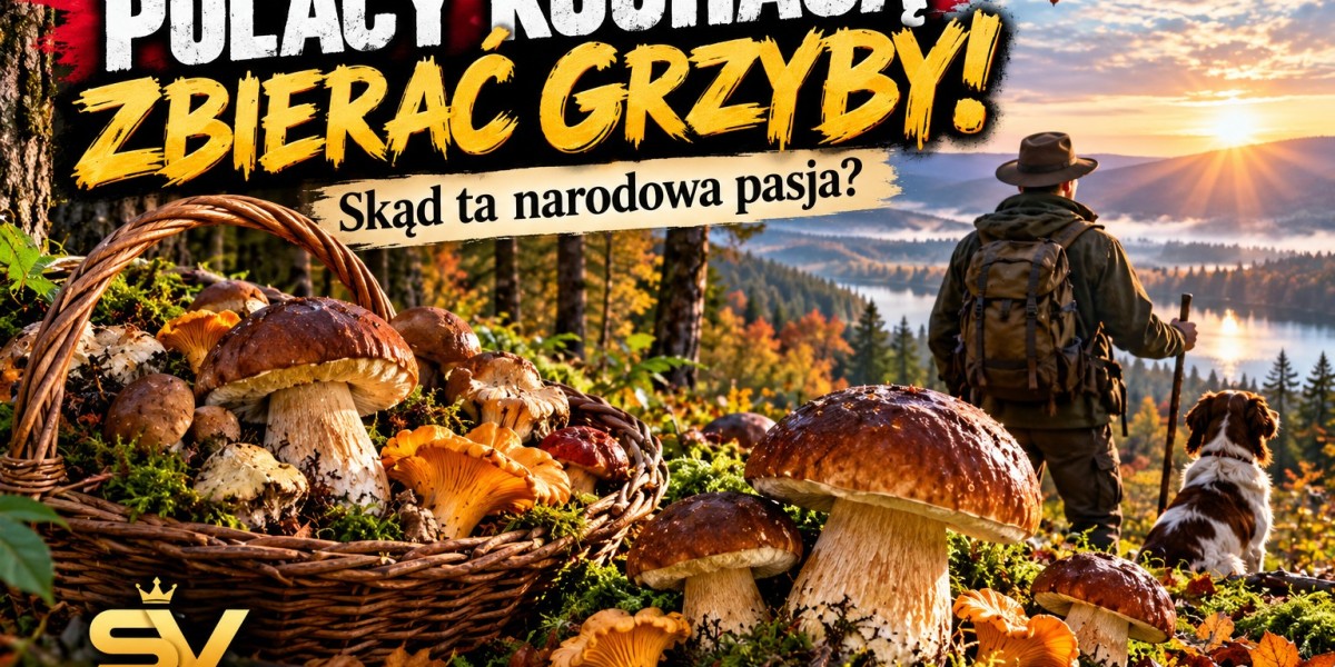 Polacy kochają zbierać grzyby! Skąd ta narodowa pasja?