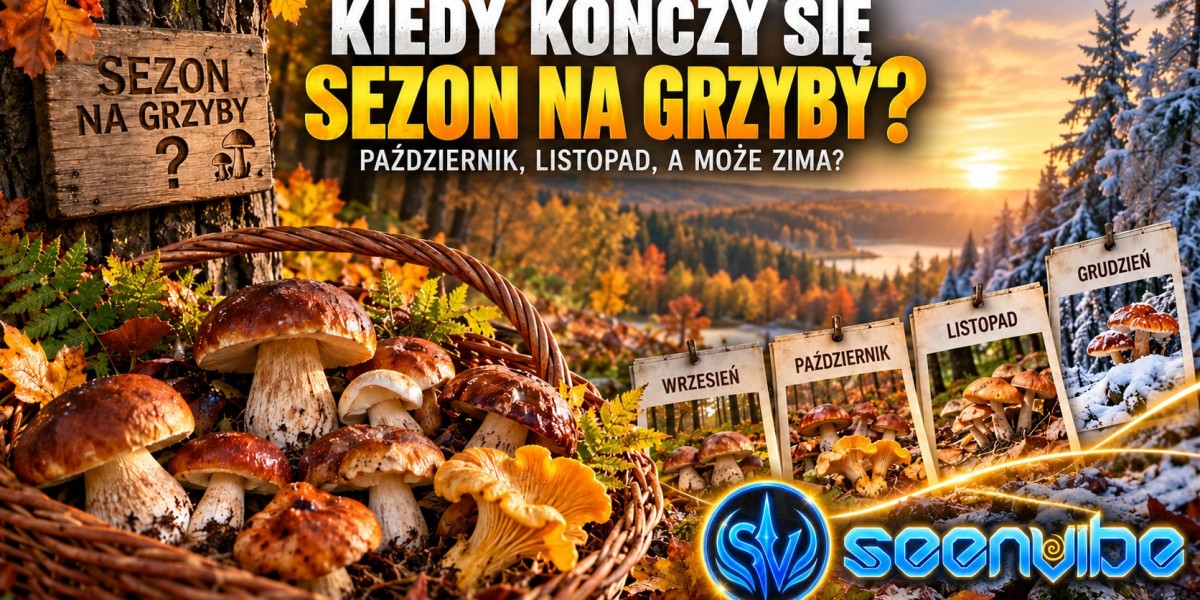 Kiedy kończy się sezon na grzyby? Październik i listopad 2026